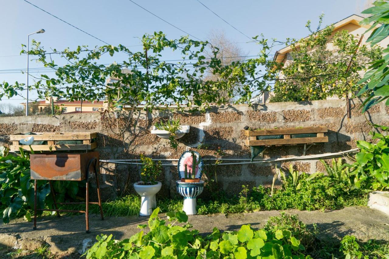 Growth House Bed & Breakfast Porto Dış mekan fotoğraf