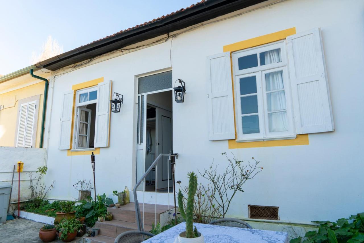 Growth House Bed & Breakfast Porto Dış mekan fotoğraf