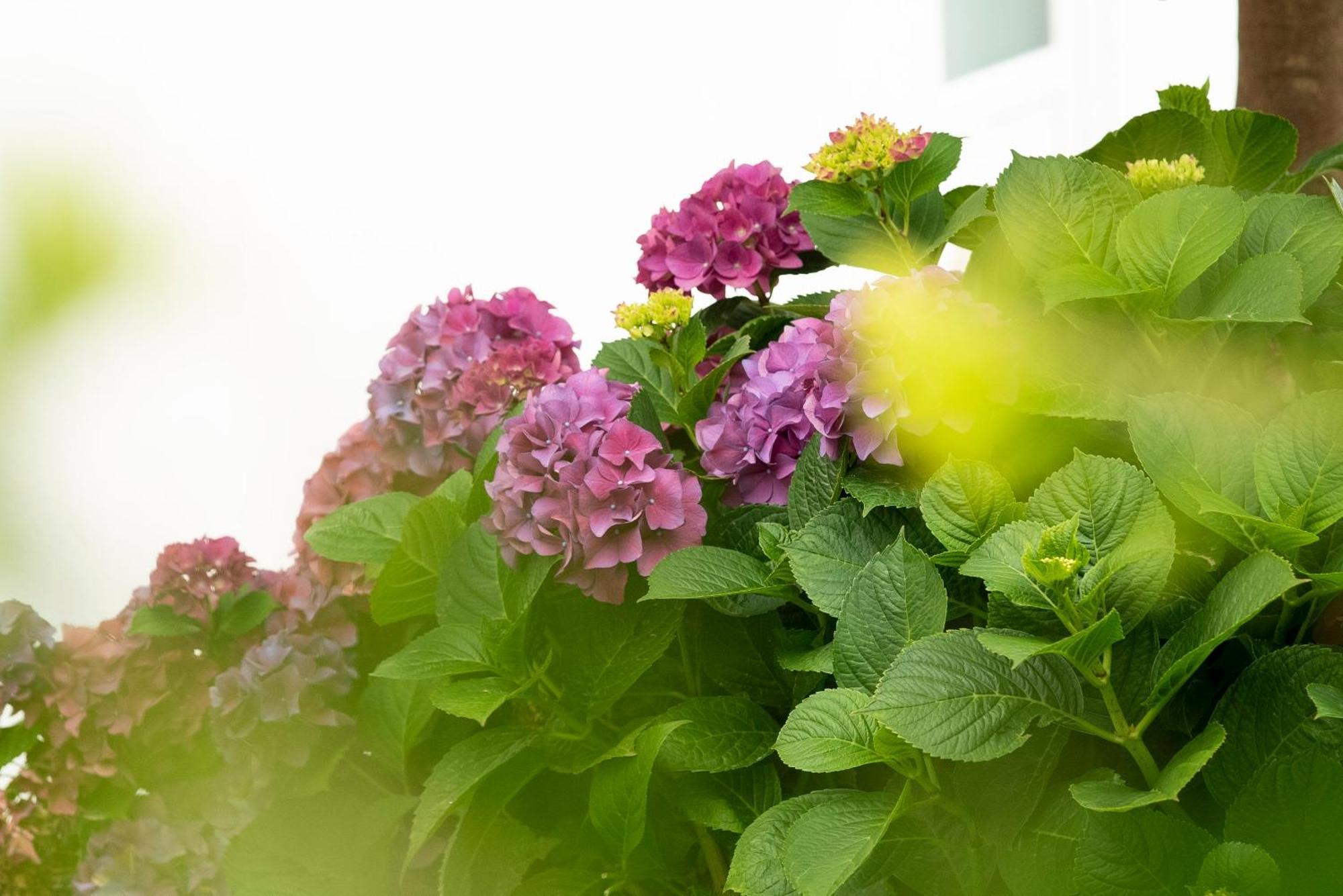 Growth House Bed & Breakfast Porto Dış mekan fotoğraf